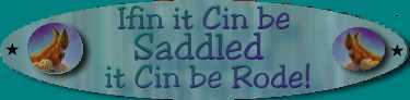 Ifin it Cin be Saddled it Cin be Rode!