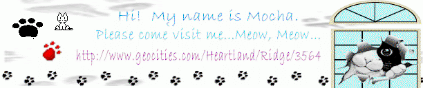 Meow, meow...