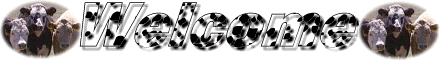 This is a Welcome Logo There are cows on it