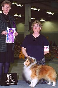 Shelties