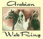 This site is another Oasis in the
Arabian Horse WebRing