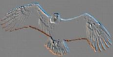 eagle