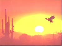 eagle