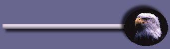 Line Divider