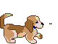 dogbee-a.gif (7734 bytes)