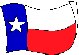 texflag.jpg (2419 bytes)