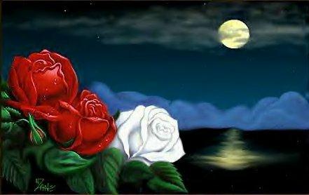 Moon Roses
