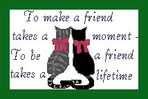 catfriend