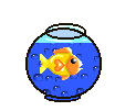 My Fish Goldie