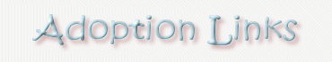 Adoption Links Heading
