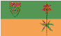 Saskatchewan Provincial Flag