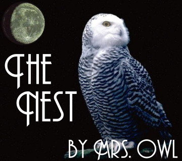 The Nest by Mrs. Owl