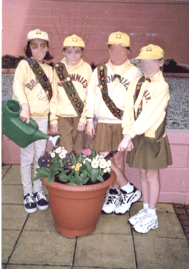 Dingwall Brownies