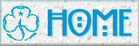 home button