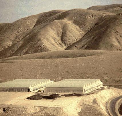 The Negev Desert
