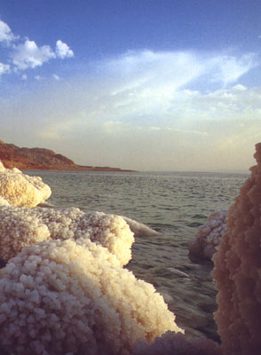 The Dead  Sea