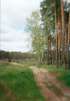 Photo  Art  Gallery