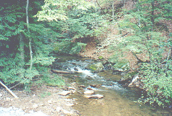 War, West Virginia; creek