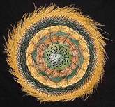 Lynn Hoyt Gallery
