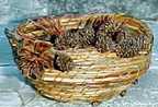 Lyn Taylor The finished Gift Basket