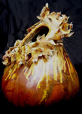 Pamela Zimmerman, Radience