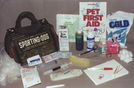 First Aid Kit