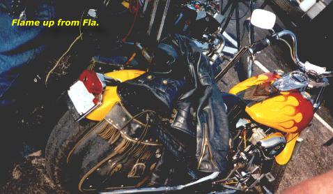 ..Flamed up from Sunshine
State !