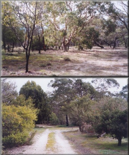 property.jpg - 87164 Bytes
