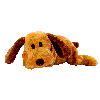 bones.gif (3958 bytes)
