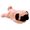 pugsly.gif (4306 bytes)