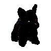 scotty.gif (3093 bytes)