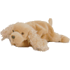 spunky.gif (2696 bytes)