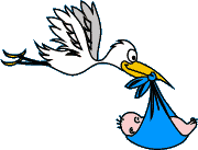 stork