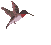 Humbird
