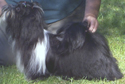 ace2.jpg (15974 bytes)