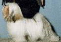 ike4.jpg (15563 bytes)