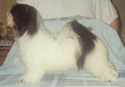 lacey.jpg (12936 bytes)