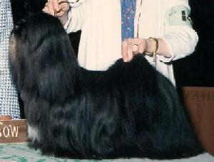superfudge3.jpg (12127 bytes)