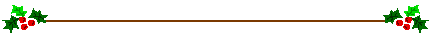 xline03.gif (1498 bytes)