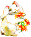 Weebunny