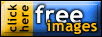 Free Web Art