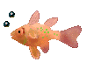 A fish.