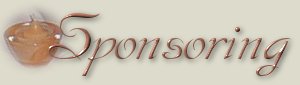 SponsoringIdeas