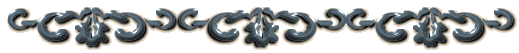 sassybar.gif (12284 bytes)
