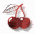 bullet1.gif (1354 bytes)