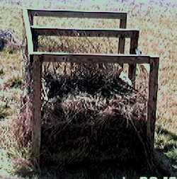 compost bin