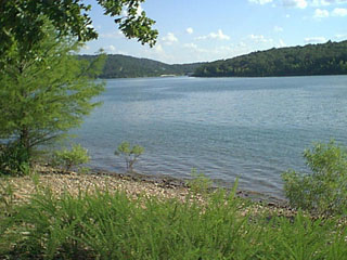 Kudzu - A typical infestation (lake3.jpg