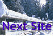 next Site