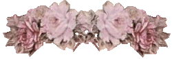 rosebar