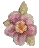 rosebutton